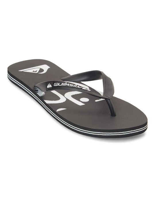 Quiksilver Men's Molokai Art II Flip Flop