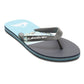 Quiksilver Men's Molokai Stripe Flip Flops