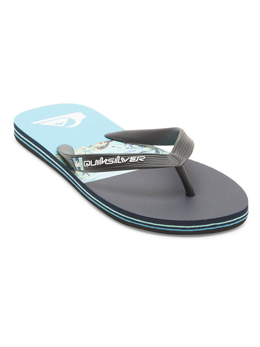 Quiksilver Men's Molokai Stripe Flip Flops