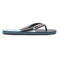 Quiksilver Men's Molokai Stripe Flip Flops