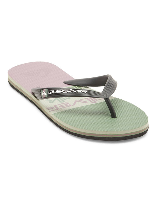 Quiksilver Men's Molokai Stripe Flip Flops