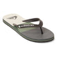 Quiksilver Men's Molokai Stripe Flip Flop