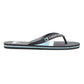 Quiksilver Men's Molokai Stripe Flip Flop