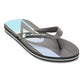 Quiksilver Men's Molokai Stripe Flip Flop