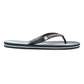 Quiksilver Men's Molokai Stripe Flip Flop