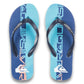 Quiksilver Men's Molokai Art Flip Flop