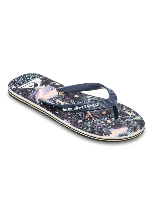 Quiksilver Men's Molokai Art Flip Flop