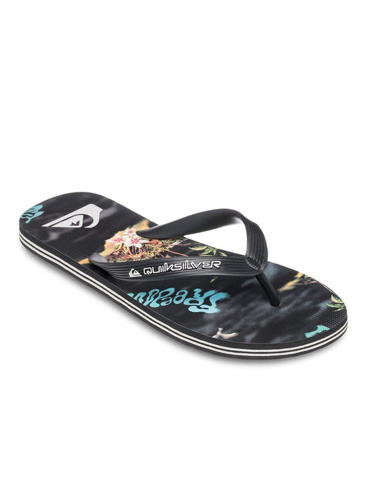 Quiksilver Men's Molokai Art Flip Flip