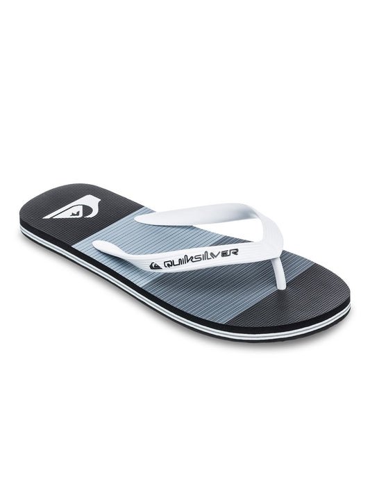 Quiksilver Men's Molokai Art Flip Flop