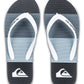 Quiksilver Men's Molokai Art Flip Flop