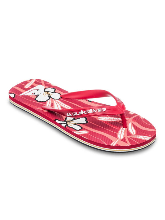 Quiksilver Men's Molokai Art Flip Flop