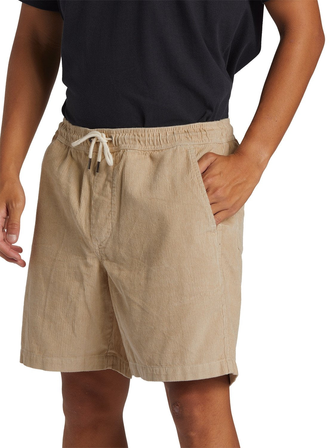 Quiksilver Men's Taxer Cord Walkshort