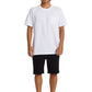 Quiksilver Men's Everyday Union Light Walkshort