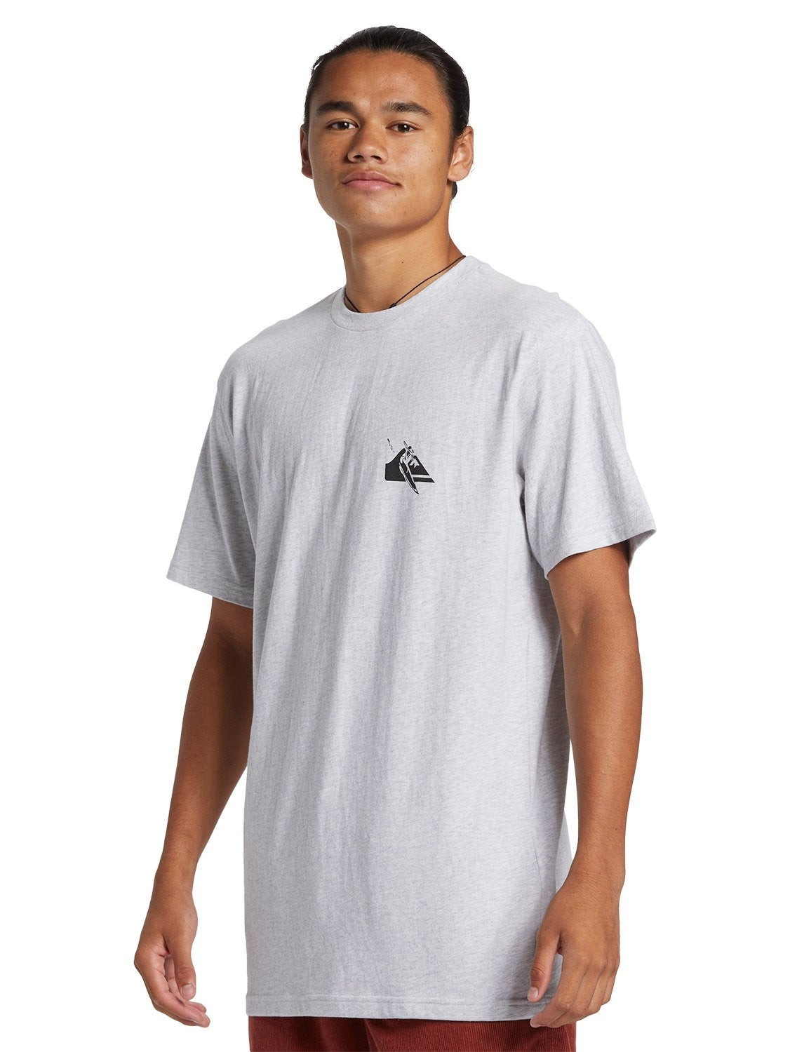 Quiksilver Men's Petroglyph Logo DNA T-Shirt