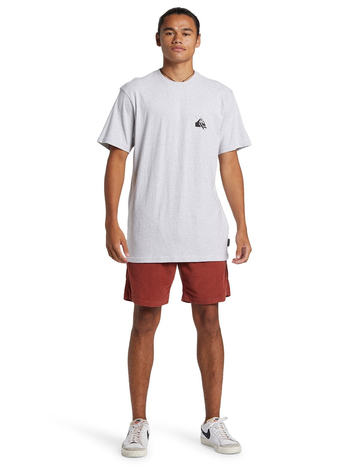 Quiksilver Men's Petroglyph Logo DNA T-Shirt