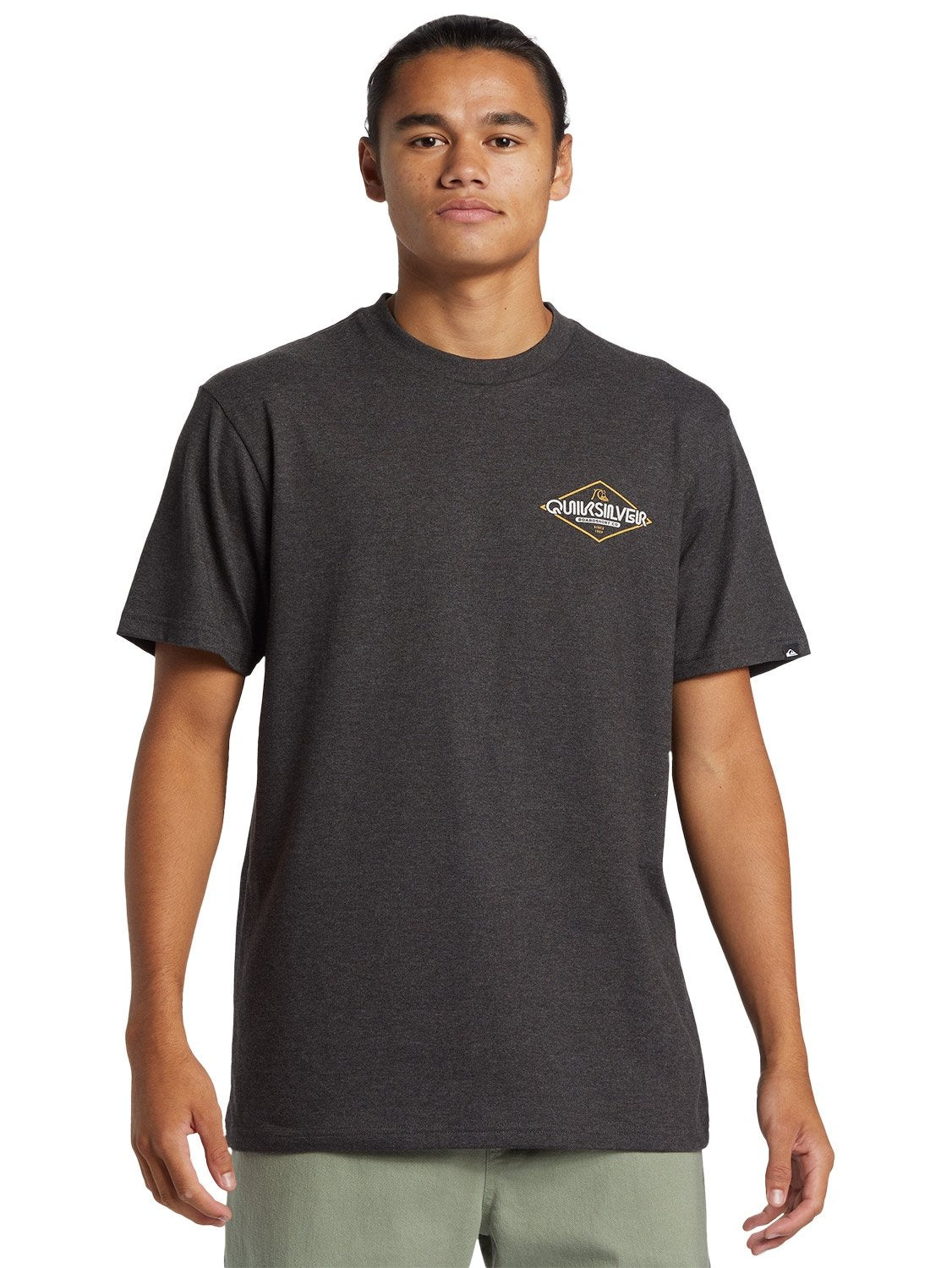 Quiksilver Men's Omni Sign T-Shirt