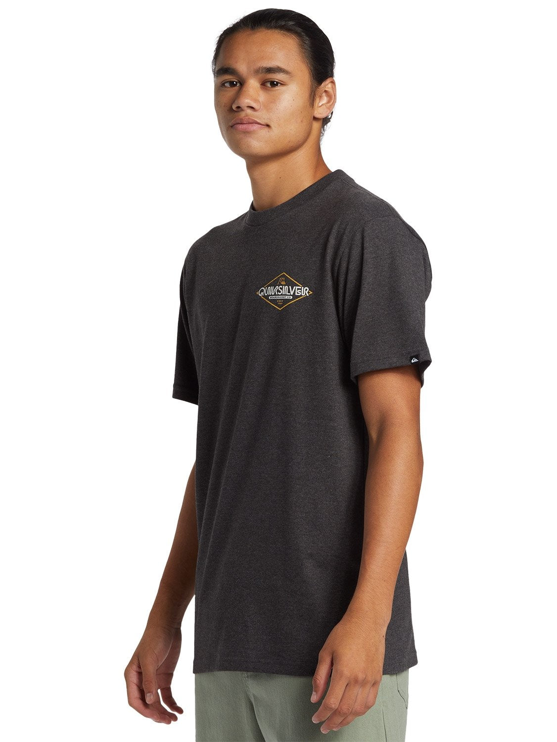 Quiksilver Men's Omni Sign T-Shirt