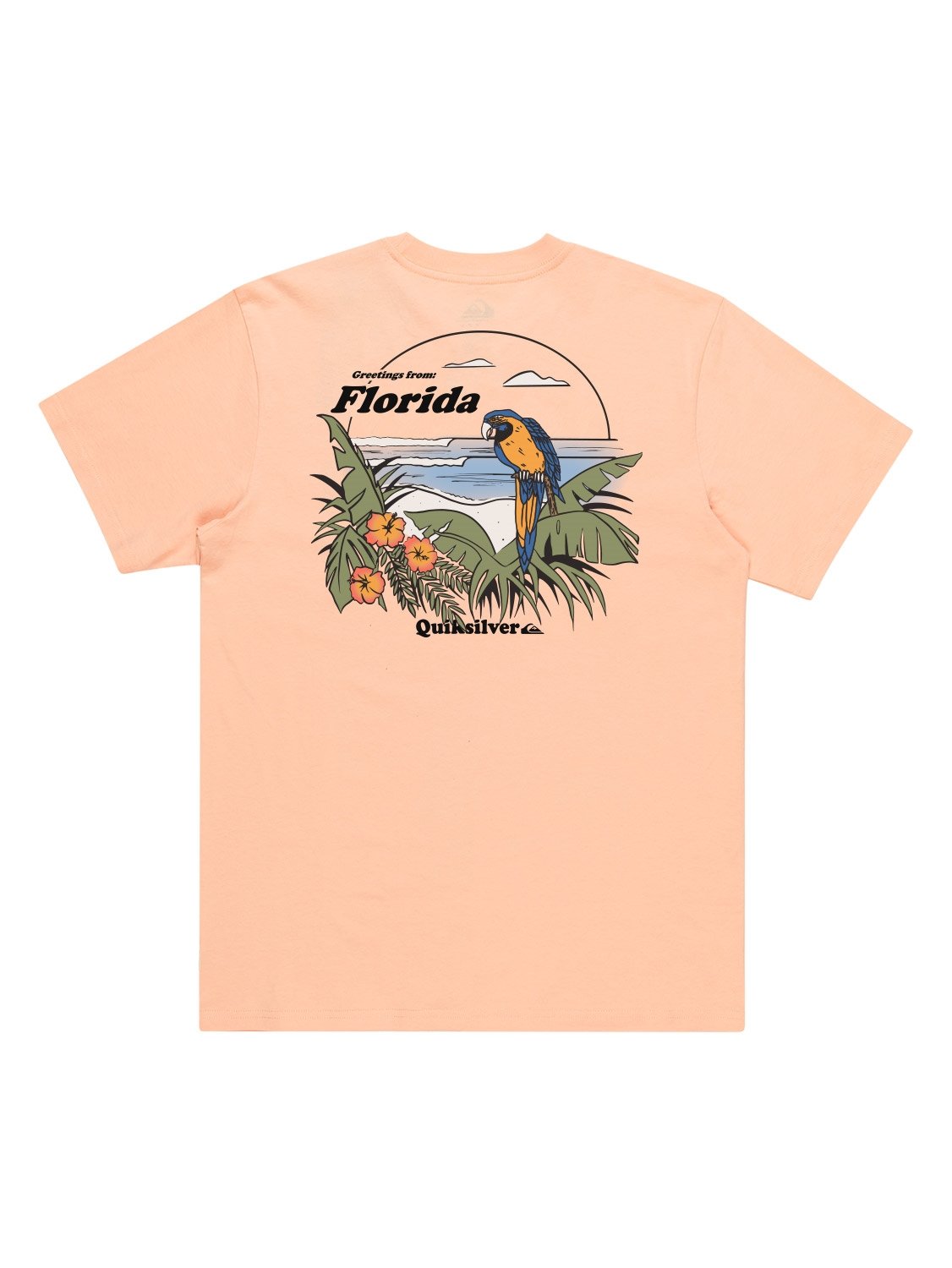 Quiksilver Men's FL Greeting T-Shirt