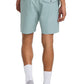 RVCA Men's All Time Roads 19" Walkshort