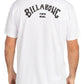 Billabong Men's Arch Wave T-Shirt