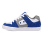 DC Boys Pure Shoe
