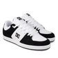DC Men's Cure 2.0 Shoe