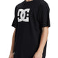 DC Men's DC Star T-Shirt