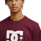 DC Men's DC Star T-Shirt