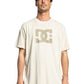 DC Men's DC Star T-Shirt