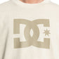 DC Men's DC Star T-Shirt