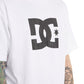 DC Men's Star T-Shirt