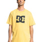 DC STAR SS - rattan (XYYB) | Boardriders