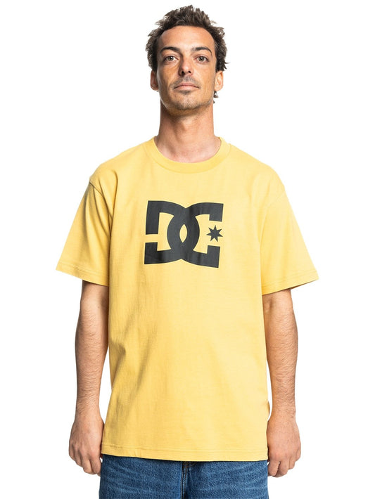DC STAR SS - rattan (XYYB) | Boardriders