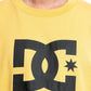 DC Men's DC Star T-Shirt