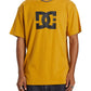 DC Men's Star T-Shirt