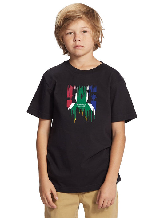 DC Boys SA Flag Drip T-Shirt