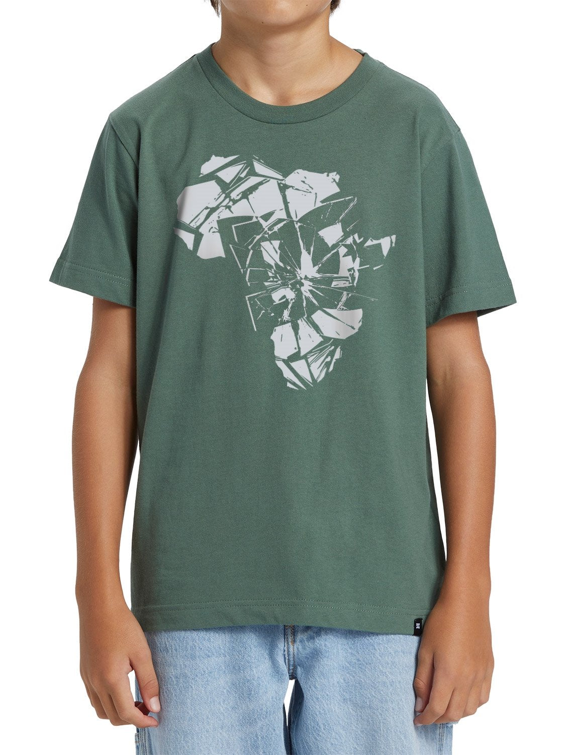 DC Boys Africa Shattered T-Shirt