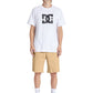 WORKED CHINO RELAXED SHORT - incense (CJZ0) | Boardriders
