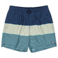Billabong Boys All Day Stripes 14" Boardshorts