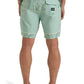 Billabong Men's Lowers 17.5" Boardshort
