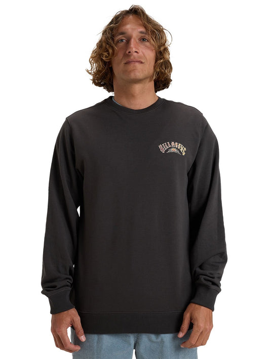 Billabong Men's Foundation Pullover