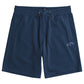 Billabong Men's Arch Walkshort