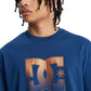 DC Men's DC Star Oxidized T-Shirt