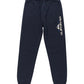 Quiksilver Boys Age Of Blue Fleece Jogger