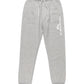 Quiksilver Boys Age Of Blue Jogger