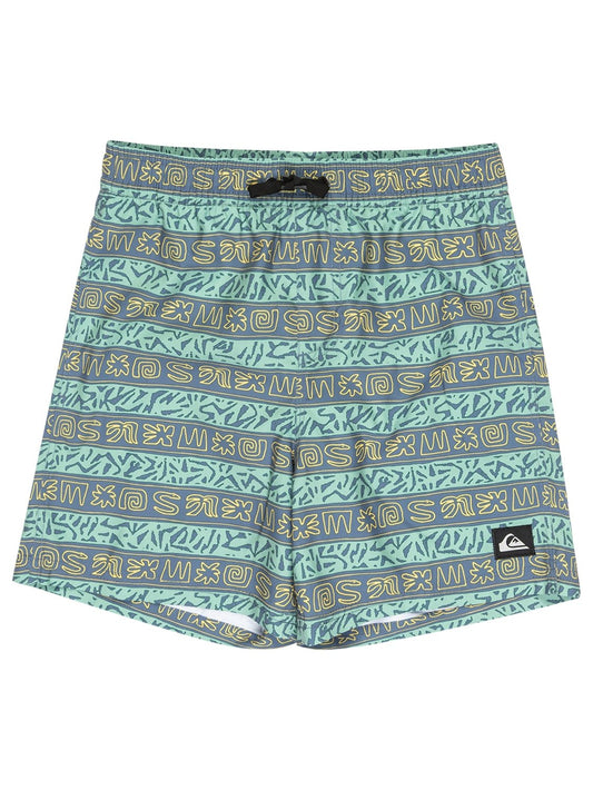 Quiksilver Boys Everyday Straight 14" Volley