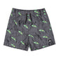 Quiksilver Boys Next Gen 14" Volley