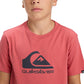Quiksilver Boys Comp Logo T-Shirt