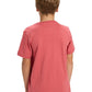 Quiksilver Boys Comp Logo T-Shirt