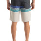 Quiksilver Men's Surfsilk Straight Leg 18" Boardshort